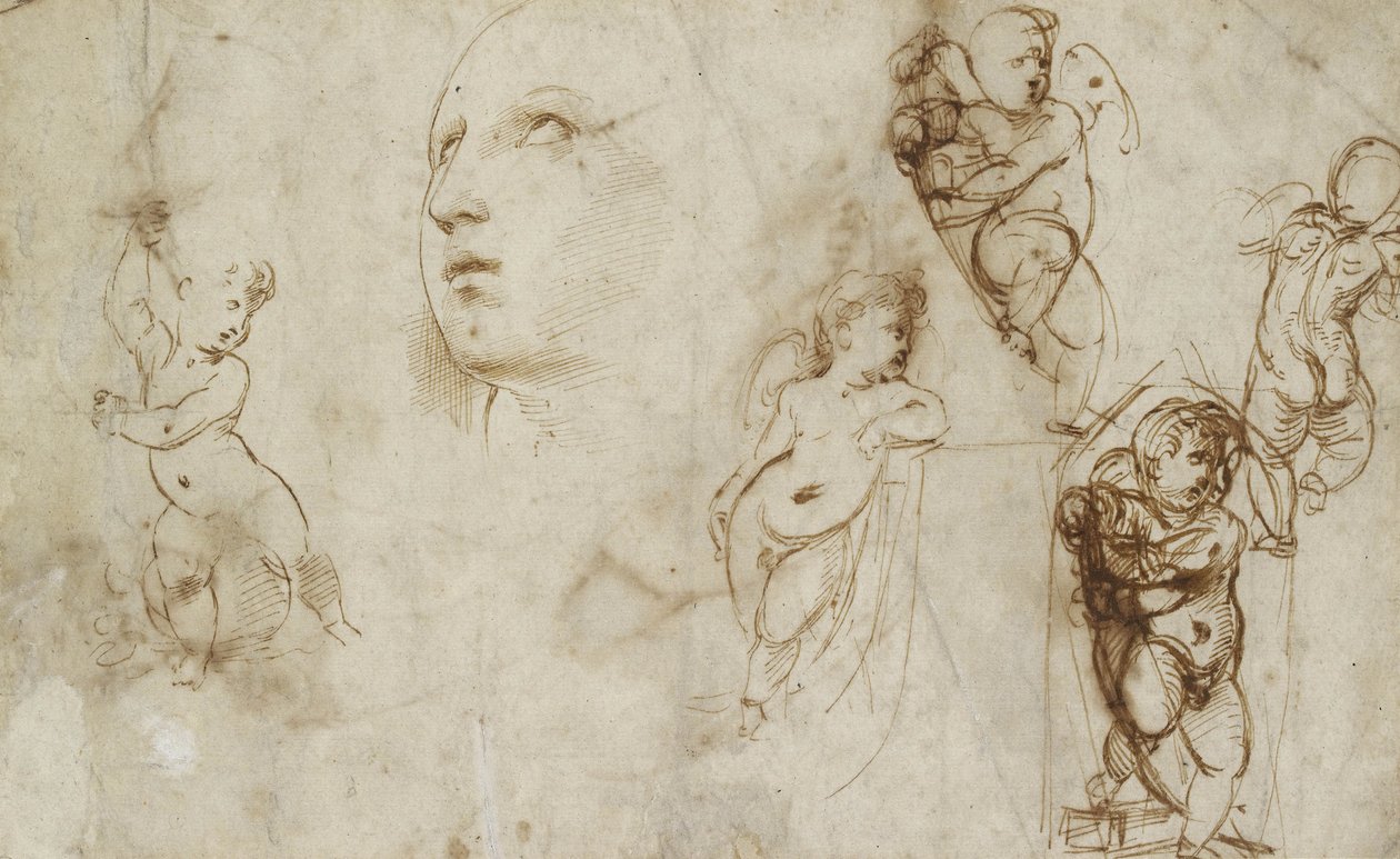 Erilaisia tutkimuksia, pääasiassa Borghese-Beckford St Catherinen (kynä ja ruskea muste luonnonvalkoiselle paperille) tekijältä Raphael