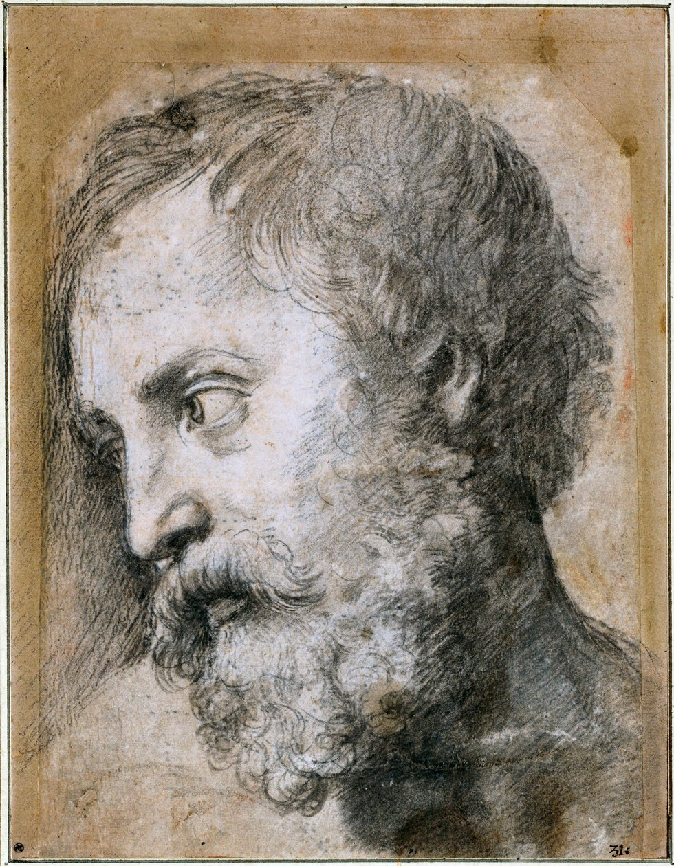 Kirkastumista koskevan apostolitutkimuksen johtaja, 1519-1520 tekijältä Raffaello Sanzio Raphael