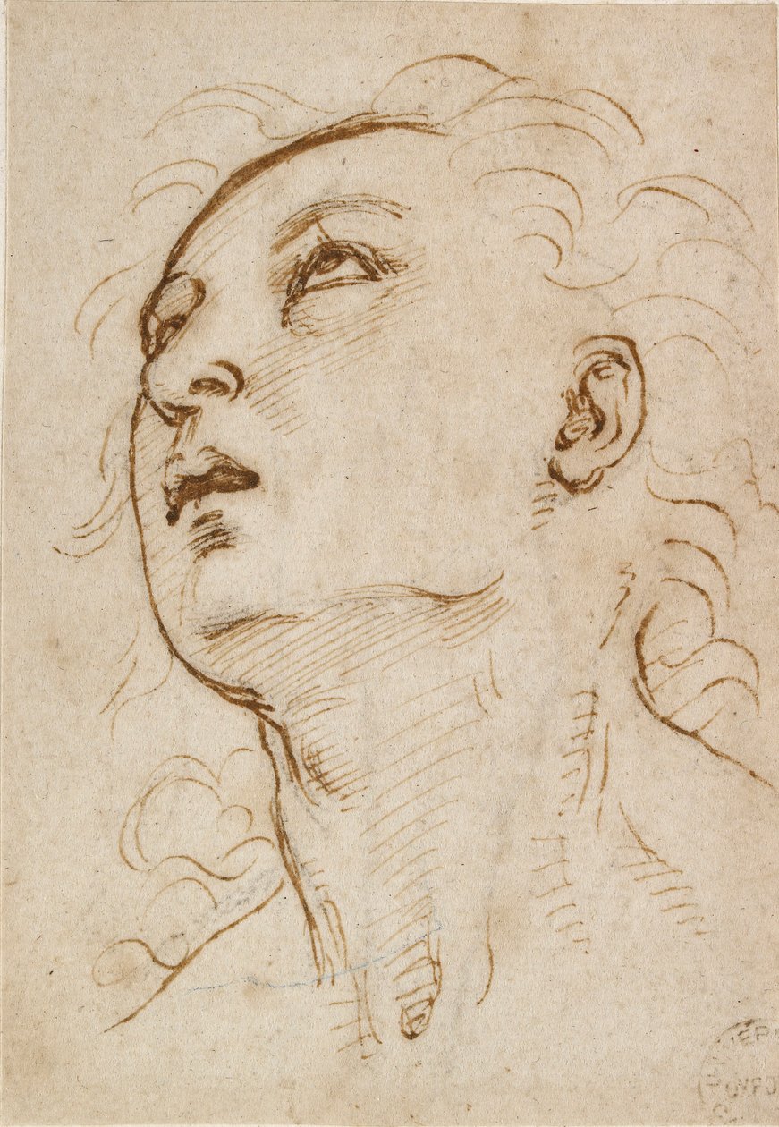 Nuoren miehen pää, joka katsoo ylöspäin, c1497-c1504 tekijältä Raphael