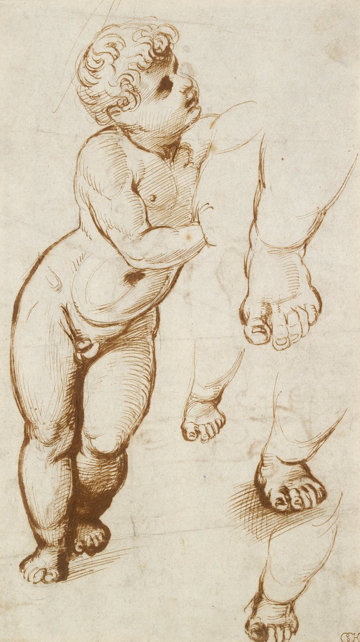 Recto: Infant Christ and other Studies, 1500-1520 tekijältä Raphael