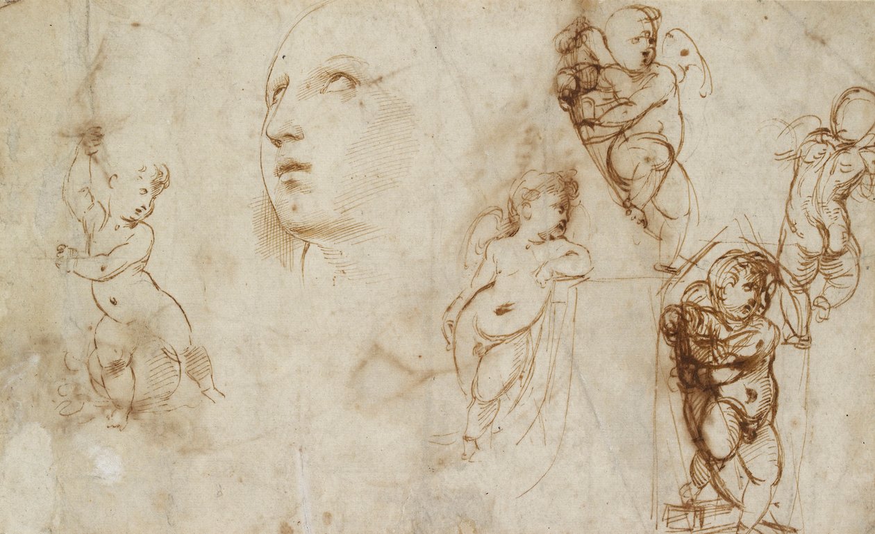 Diversos estudis, principalment per a Borghese-Beckford St Catherine, a principis del segle XVI finlandès tekijältä Raphael