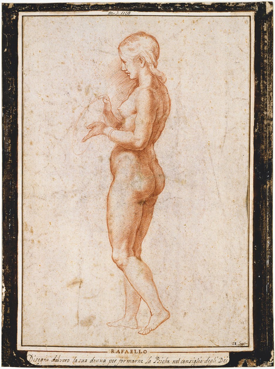 Nuori naishahmo profiilissa, n. 1517. tekijältä Raphael