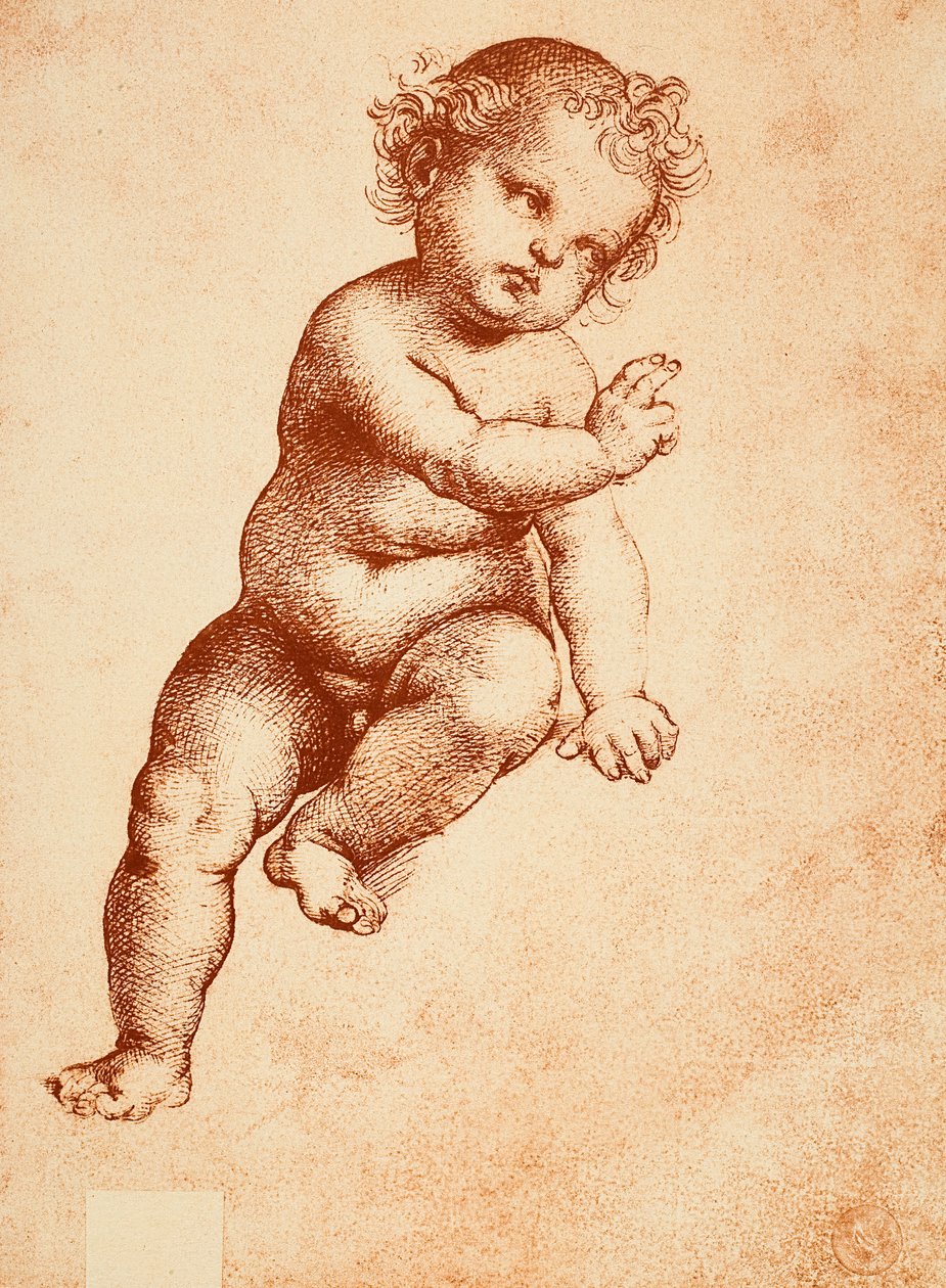 Tutkimus Jeesus-lapselle, piirustus Rafael. Gallerie dellAccademia, Venetsia tekijältä Raffaello Sanzio Raphael