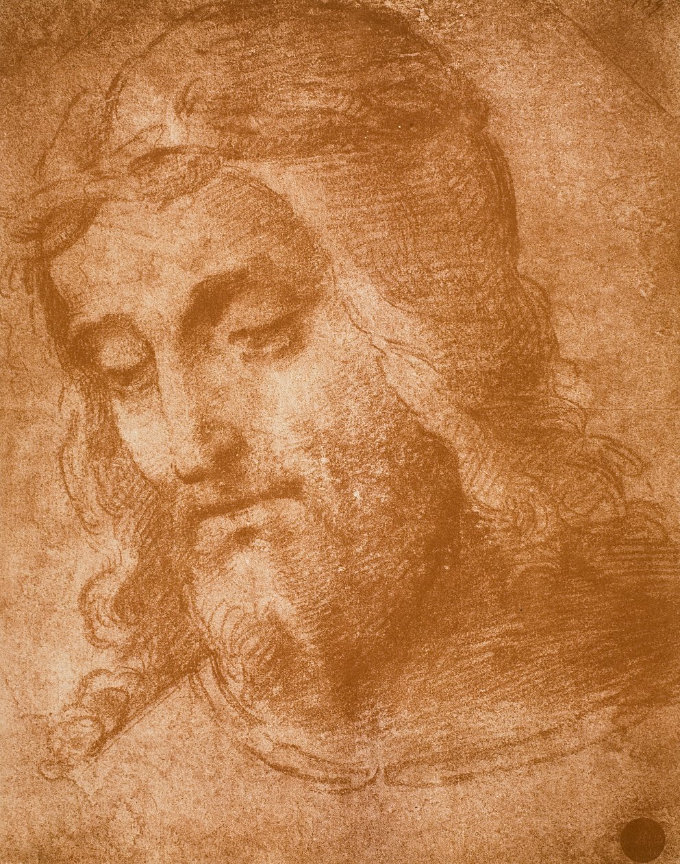 Tutkimus Lunastajan kasvoille, piirros Rafael. Gallerie dellAccademia, Venetsia tekijältä Raffaello Sanzio Raphael