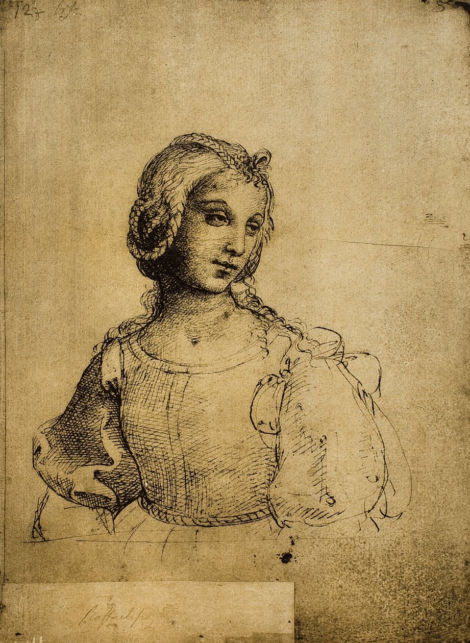 Naisen tutkimus; piirustus Raphael. Gallerie dellAccademia, Venetsia tekijältä Raffaello Sanzio Raphael
