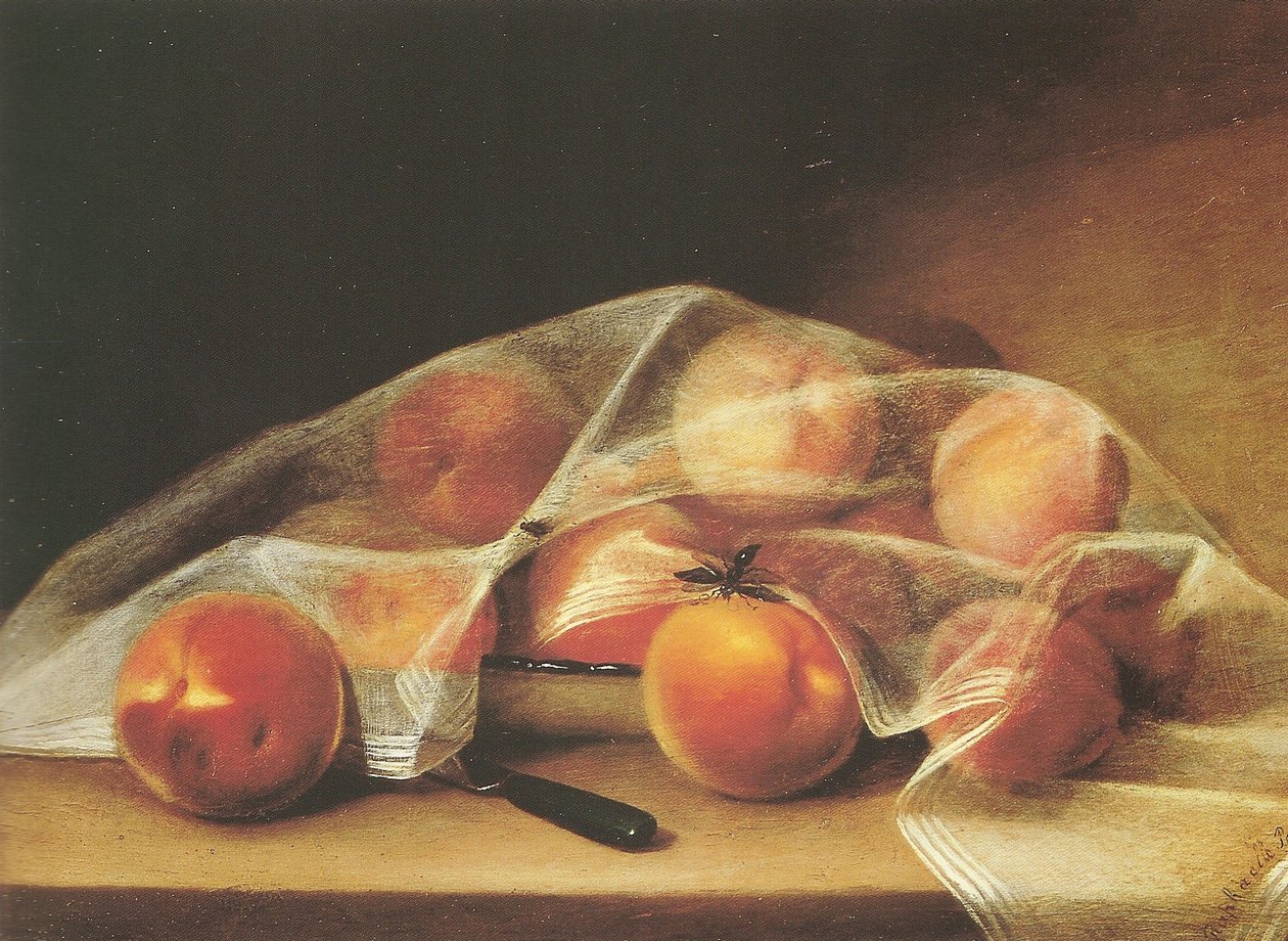 Hedelmäpaloja persikoita peitetty nenäliina-raphaelle peale tekijältä Raphaelle Peale
