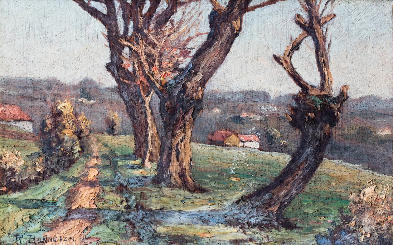  tekijältä Raymond Bonnefon