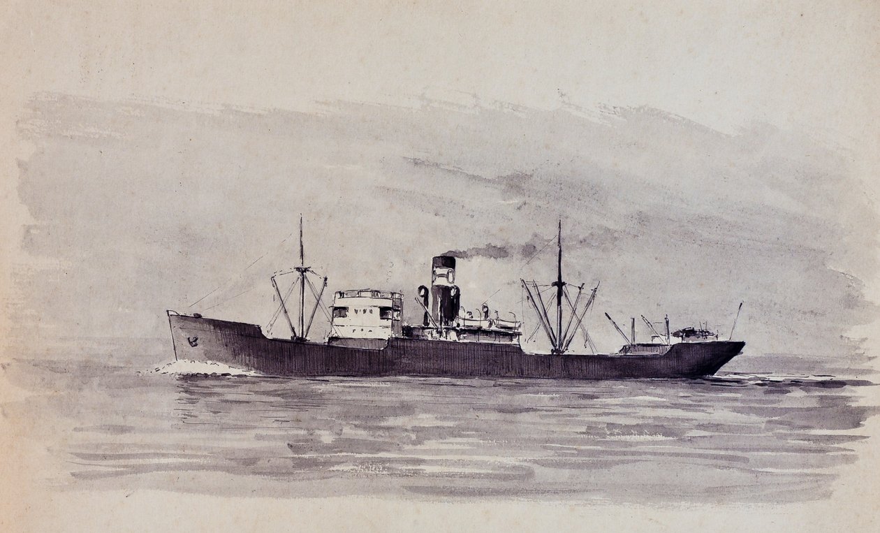  tekijältä Raymond Bonnefon