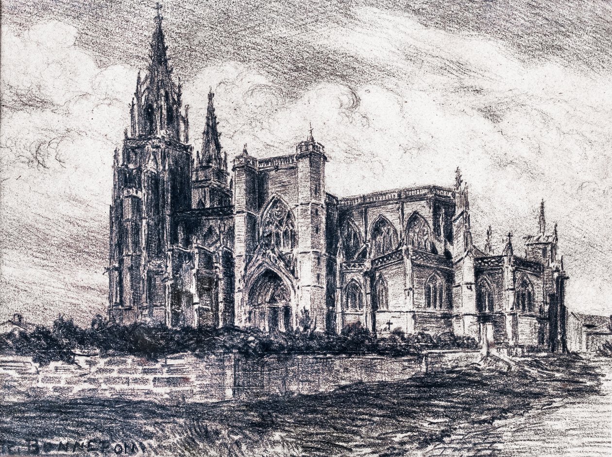 Katedraali (hiili) tekijältä Raymond Bonnefon