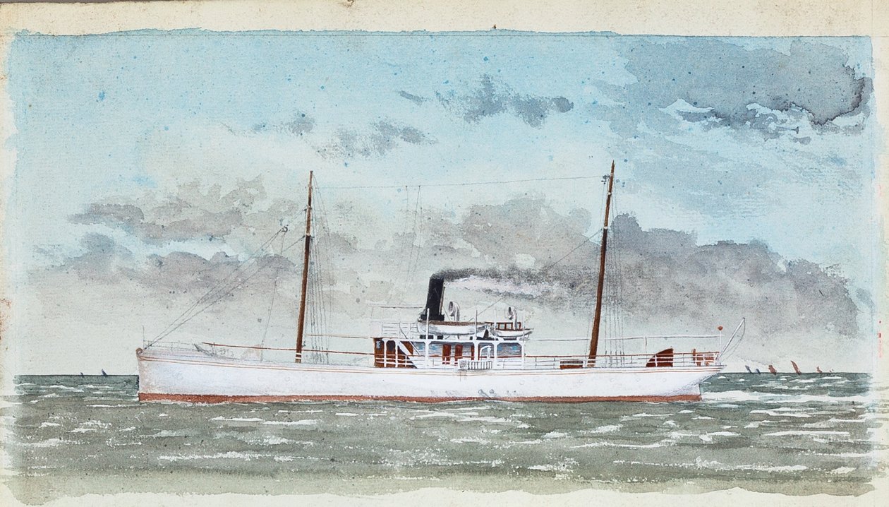  tekijältä Raymond Bonnefon