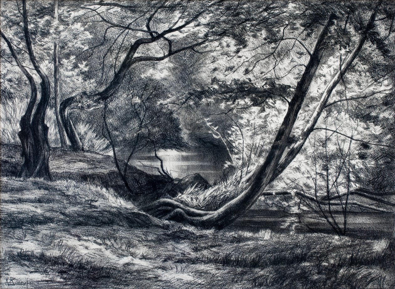 Aluskasvillisuus ja joki (hiili) tekijältä Raymond Bonnefon