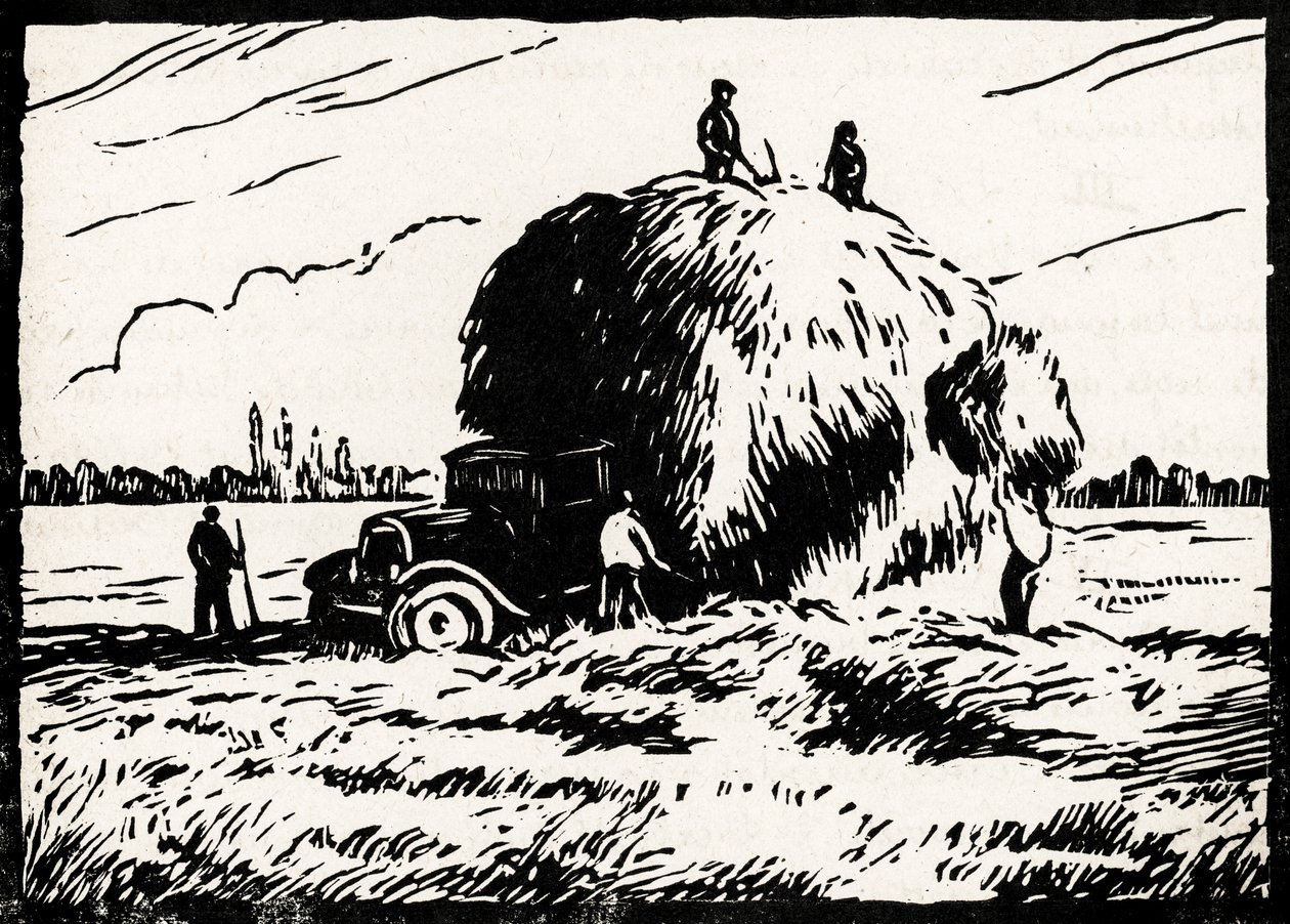 heinäkokoelma (linoleikkaus) tekijältä Raymond Bonnefon