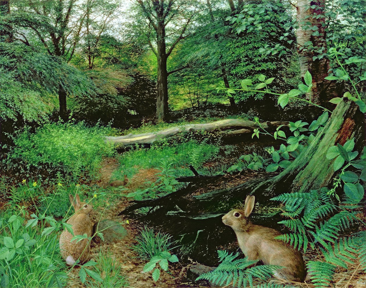 Metsässä - juhannusilta (öljy laudalle) tekijältä Raymond Booth