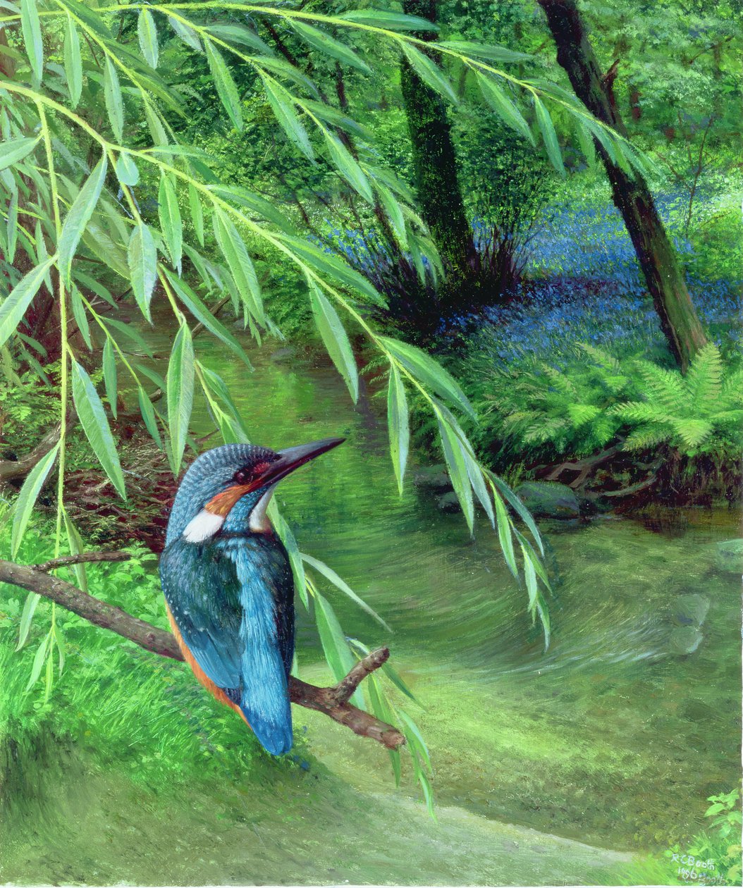 Kingfisher tekijältä Raymond Booth