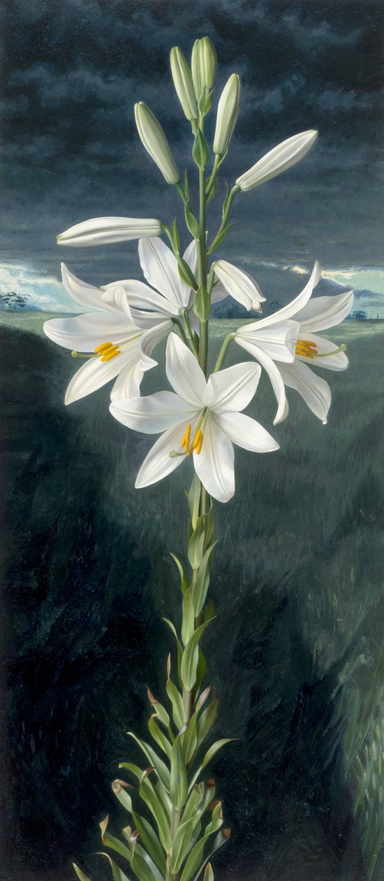 Madonna lilja (öljy kartongille) tekijältä Raymond Booth