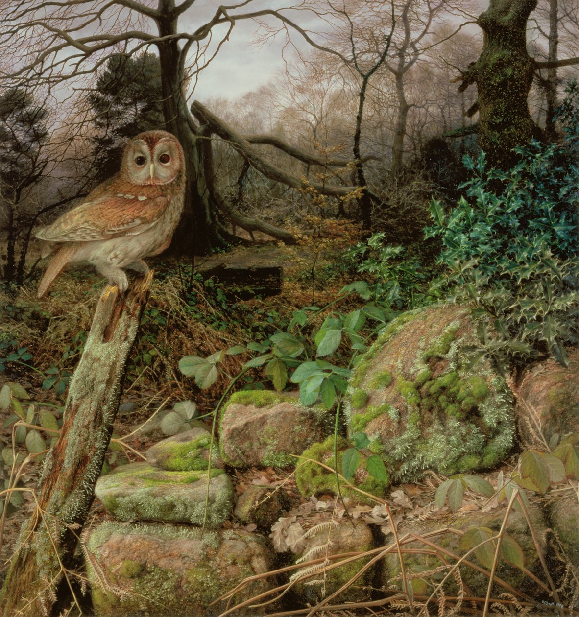 The Wild Wood - Talvi-ilta tekijältä Raymond Booth