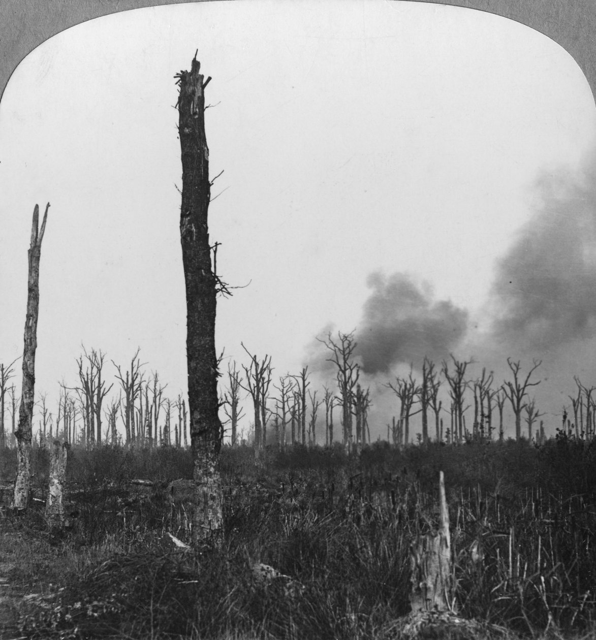 Voimakkaat räjähteet räjähtävät Mametz Woodissa, Ranskassa, ensimmäinen maailmansota, 1916 tekijältä Realistic Travels Publishers