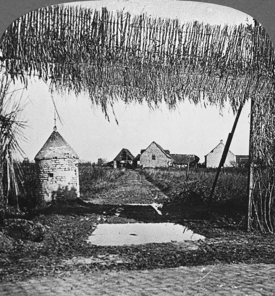 Nerokas naamiointi, ensimmäinen maailmansota, 1914-1918. tekijältä Realistic Travels Publishers
