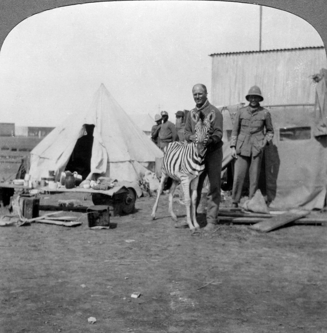 Eteläafrikkalaiset tykkimiehet lemmikkinsä kanssa, Itä-Afrikka, ensimmäinen maailmansota, 1914-1918. tekijältä Realistic Travels Publishers