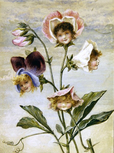 Geranium & Sweet Pea - Kukkalapset - pari (akvarelli ja vartaloväri paperille) tekijältä Rebecca Coleman