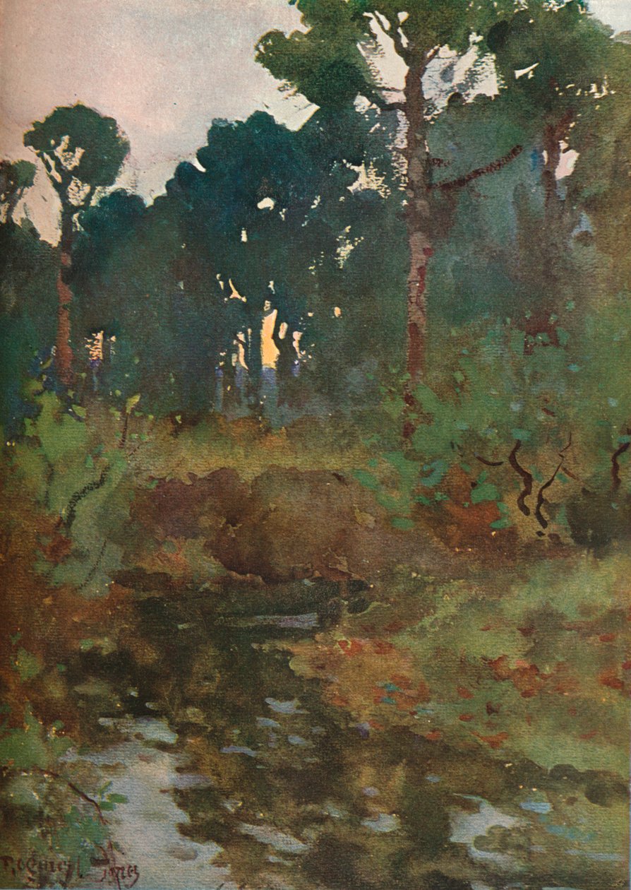 Koristeellinen maisematutkimus, c1903 1903-1904 tekijältä Reginald Jones