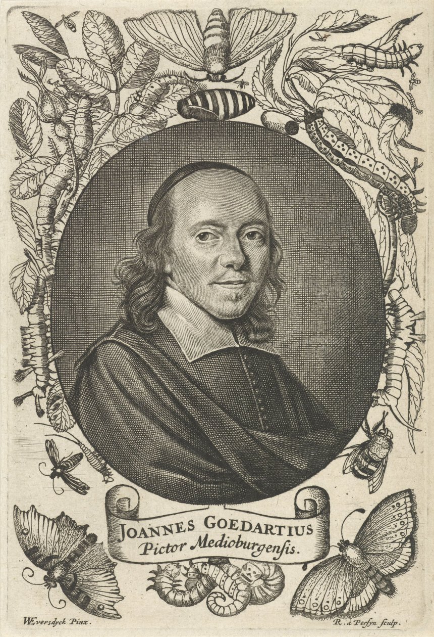 Johannes Goedaert (1617-1668) Middelburgista tekijältä Reinier van Persijn