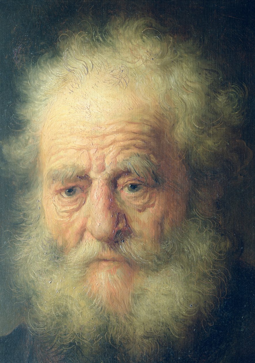 Vanhan miehen rintakuva kultaketjulla (yksityiskohta) tekijältä Rembrandt van Rijn