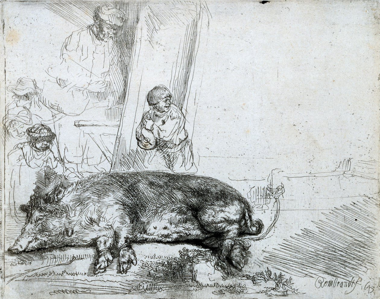 Hog, 1643 tekijältä Rembrandt van Rijn