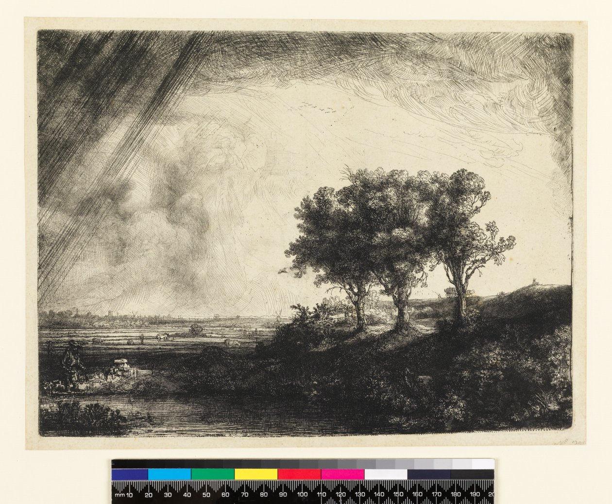 23.K5-292 Kolme puuta tekijältä Rembrandt van Rijn