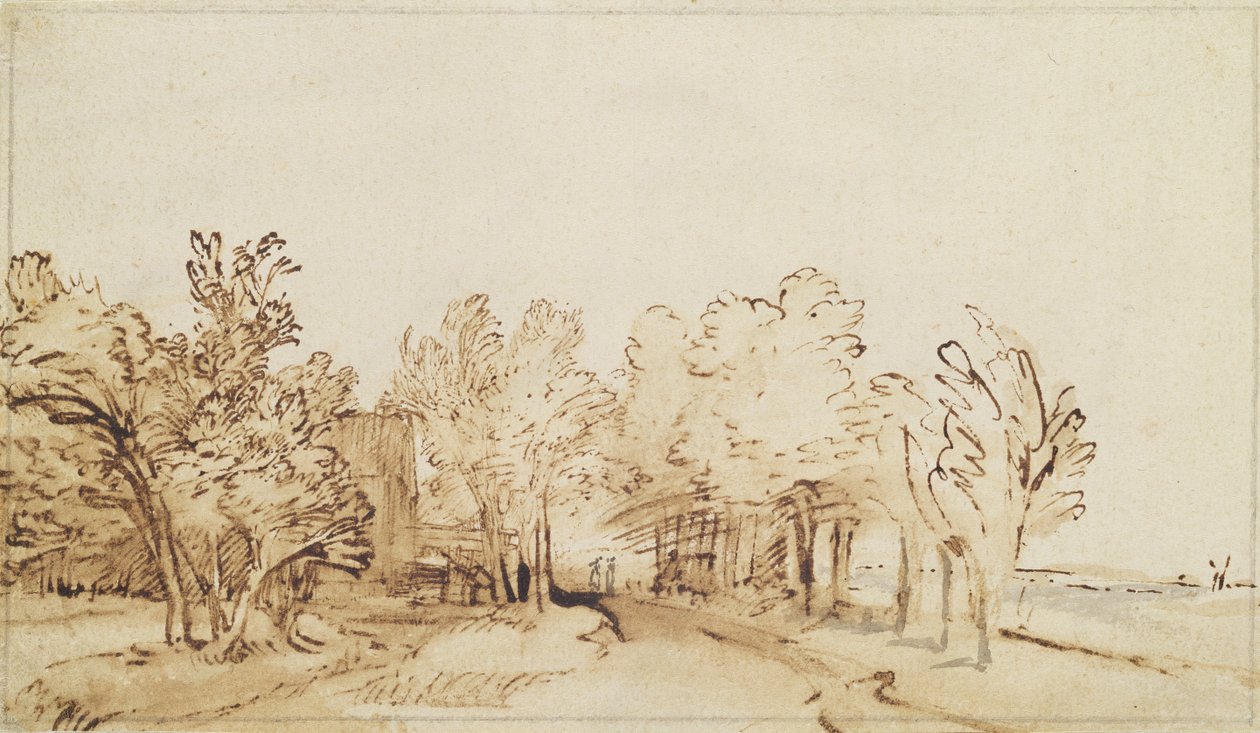 Avenue, jossa kävelytie ja maalaistalo vasemmalla (kynä ja ruskea muste ja sivellin paperille) tekijältä Rembrandt van Rijn