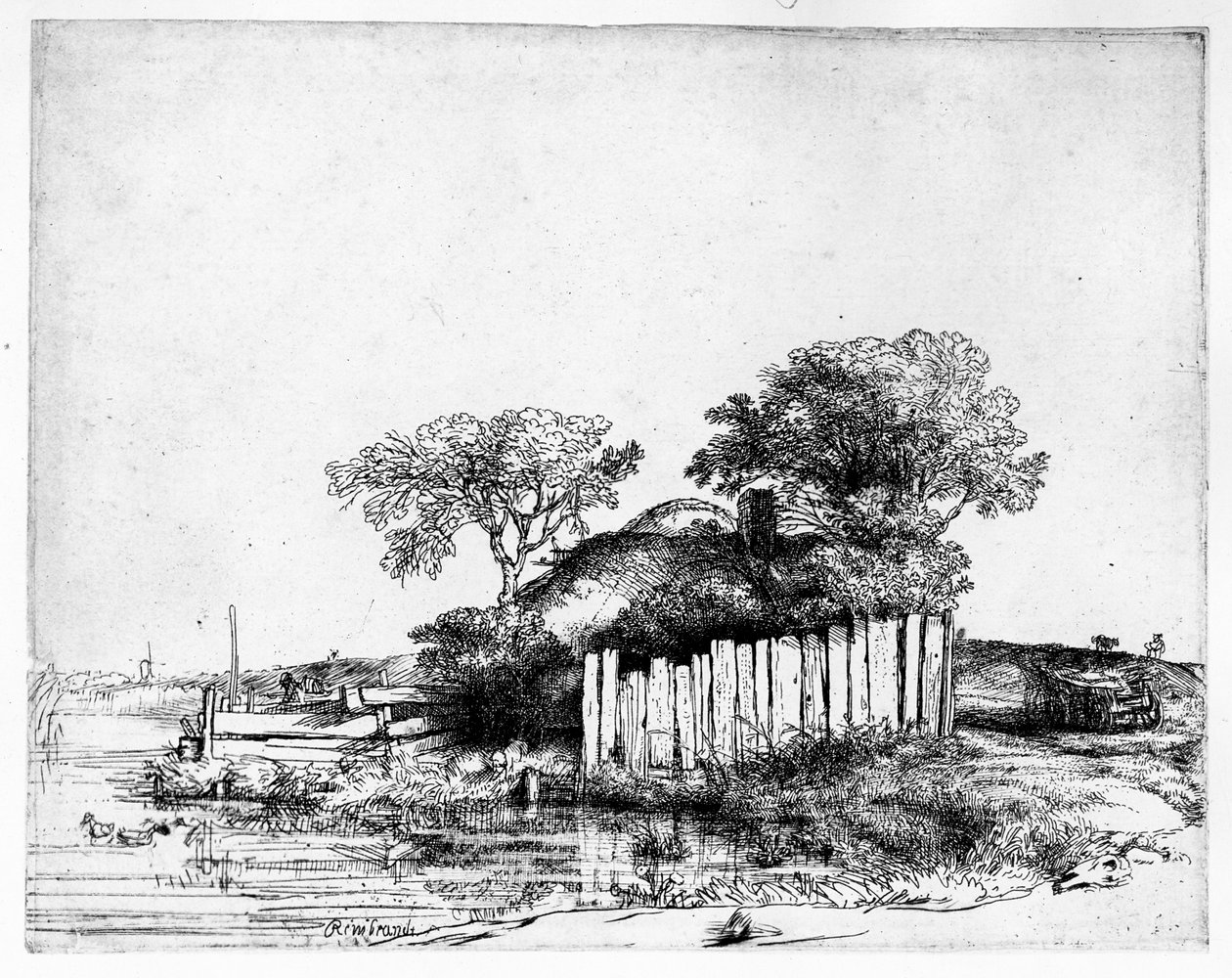 Mökki valkoisella kalvauksella, 1648 tekijältä Rembrandt van Rijn