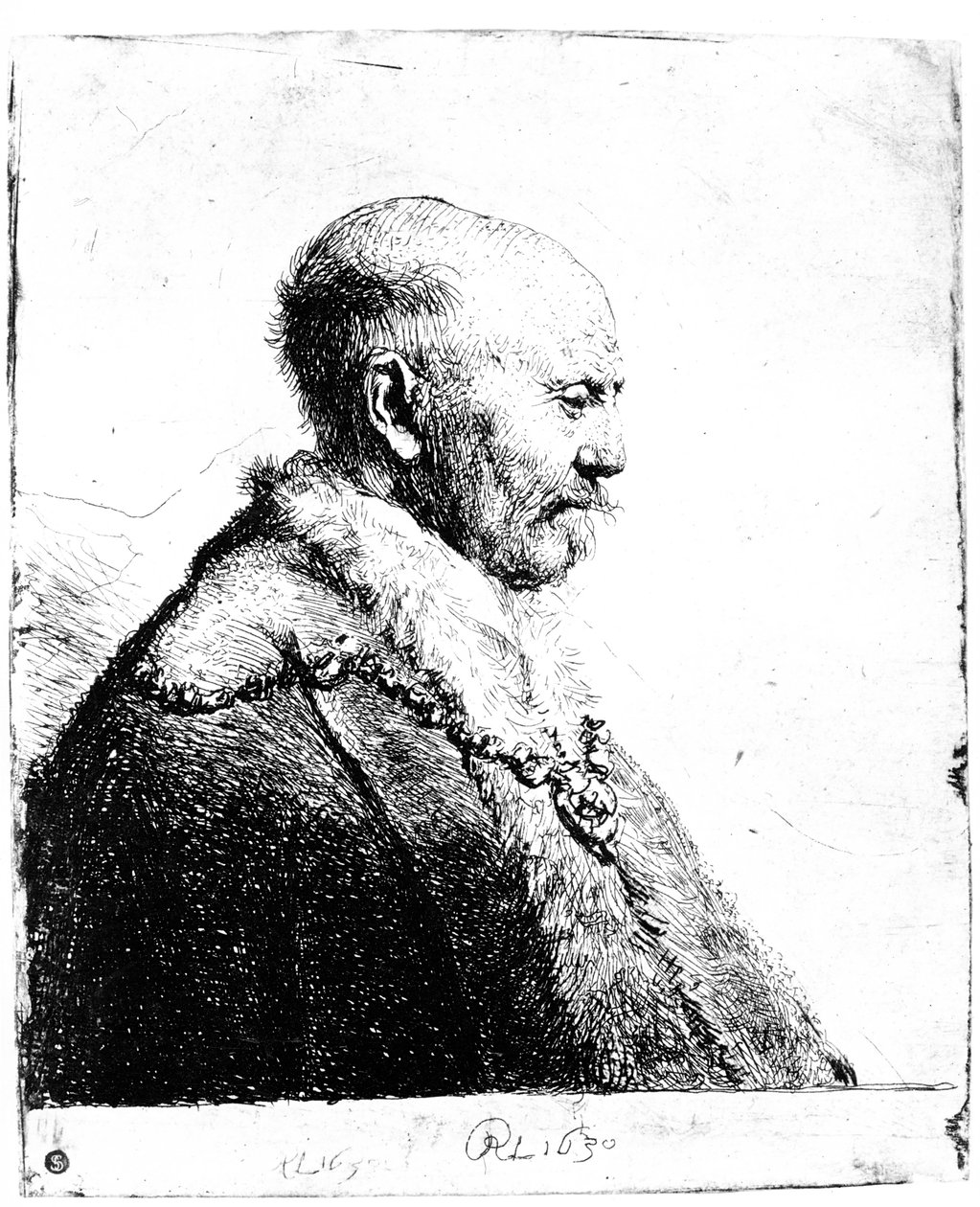 Kaljupäisen miehen muotokuva, 1630 tekijältä Rembrandt van Rijn