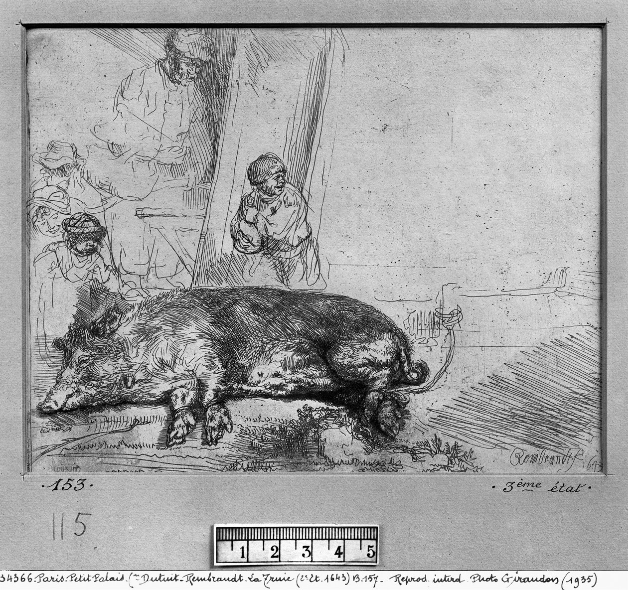 Emakko, 1643 tekijältä Rembrandt van Rijn