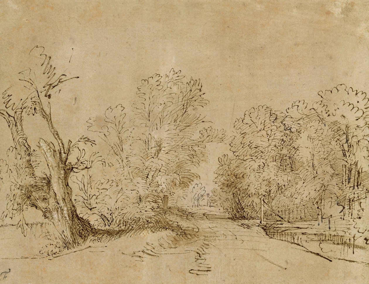 Metsäinen tie tekijältä Rembrandt van Rijn