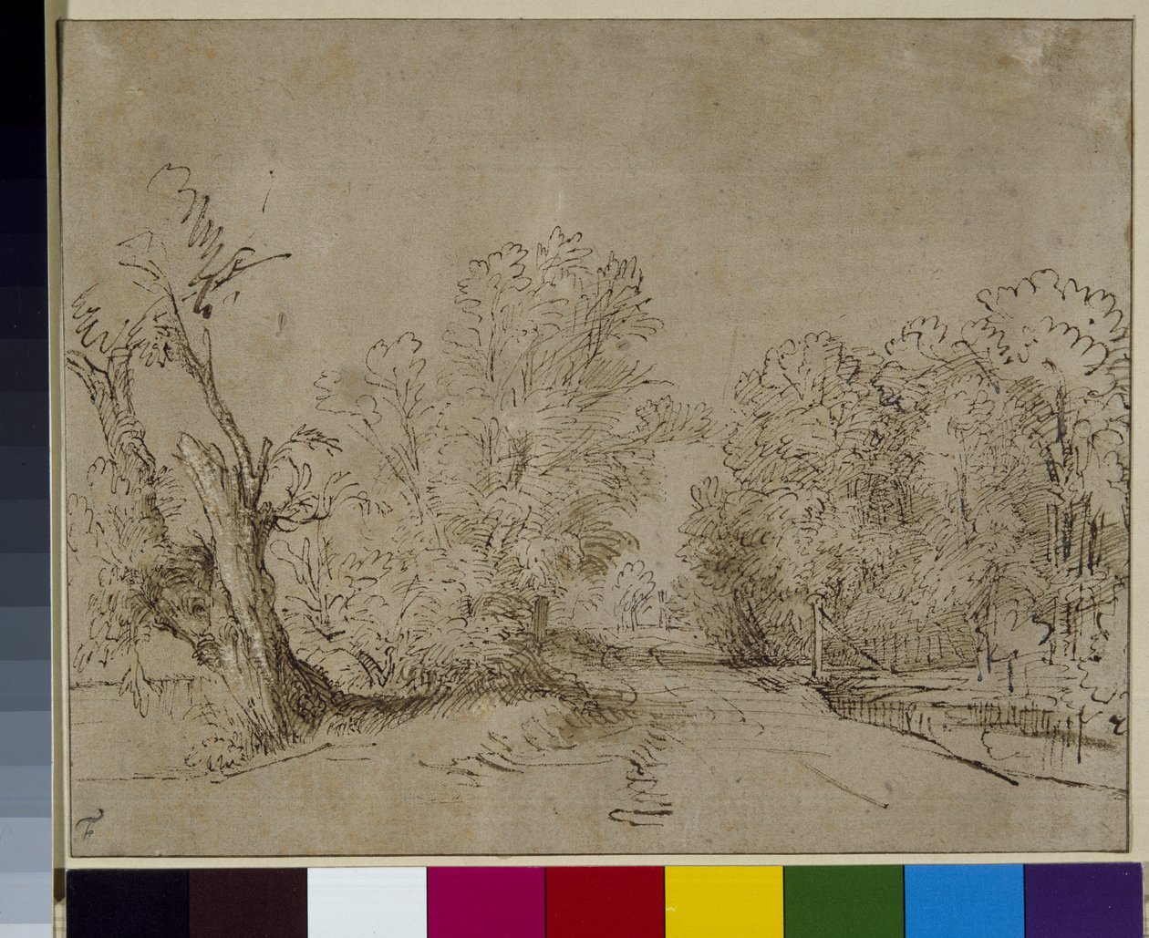 Metsäinen tie, n. 1650 (kynä ja muste paperille) tekijältä Rembrandt Harmensz. van Rijn