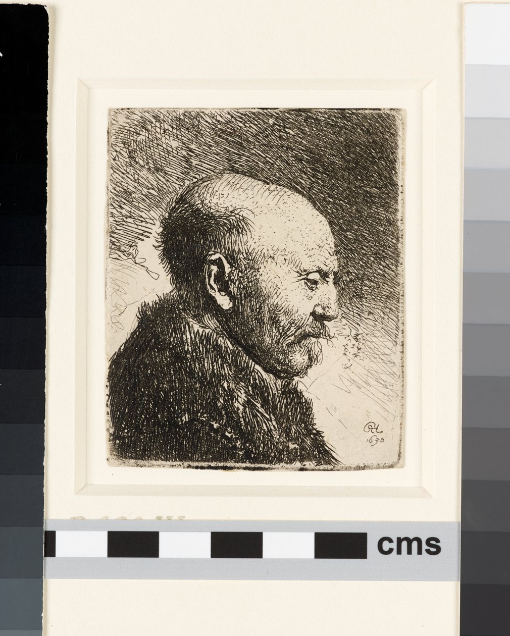 Kaljupäinen mies profiilissa oikealla: Rembrandtin isä? tekijältä Rembrandt van Rijn