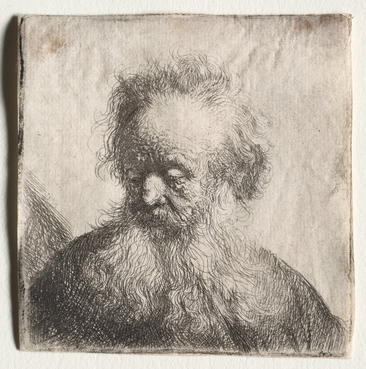 Vanha mies, jolla on juokseva parta: Bust tekijältä Rembrandt Harmensz. van Rijn