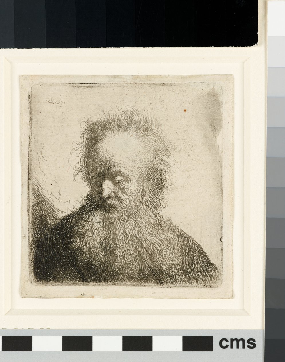 Vanha mies, jolla on leveä parta: rintakuva tekijältä Rembrandt van Rijn