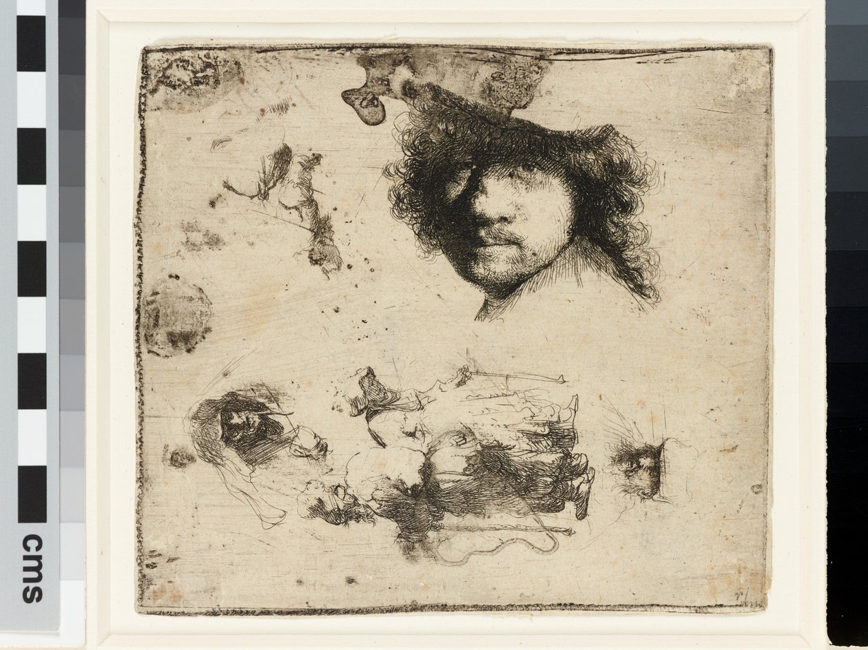 Opintolevy tekijältä Rembrandt van Rijn