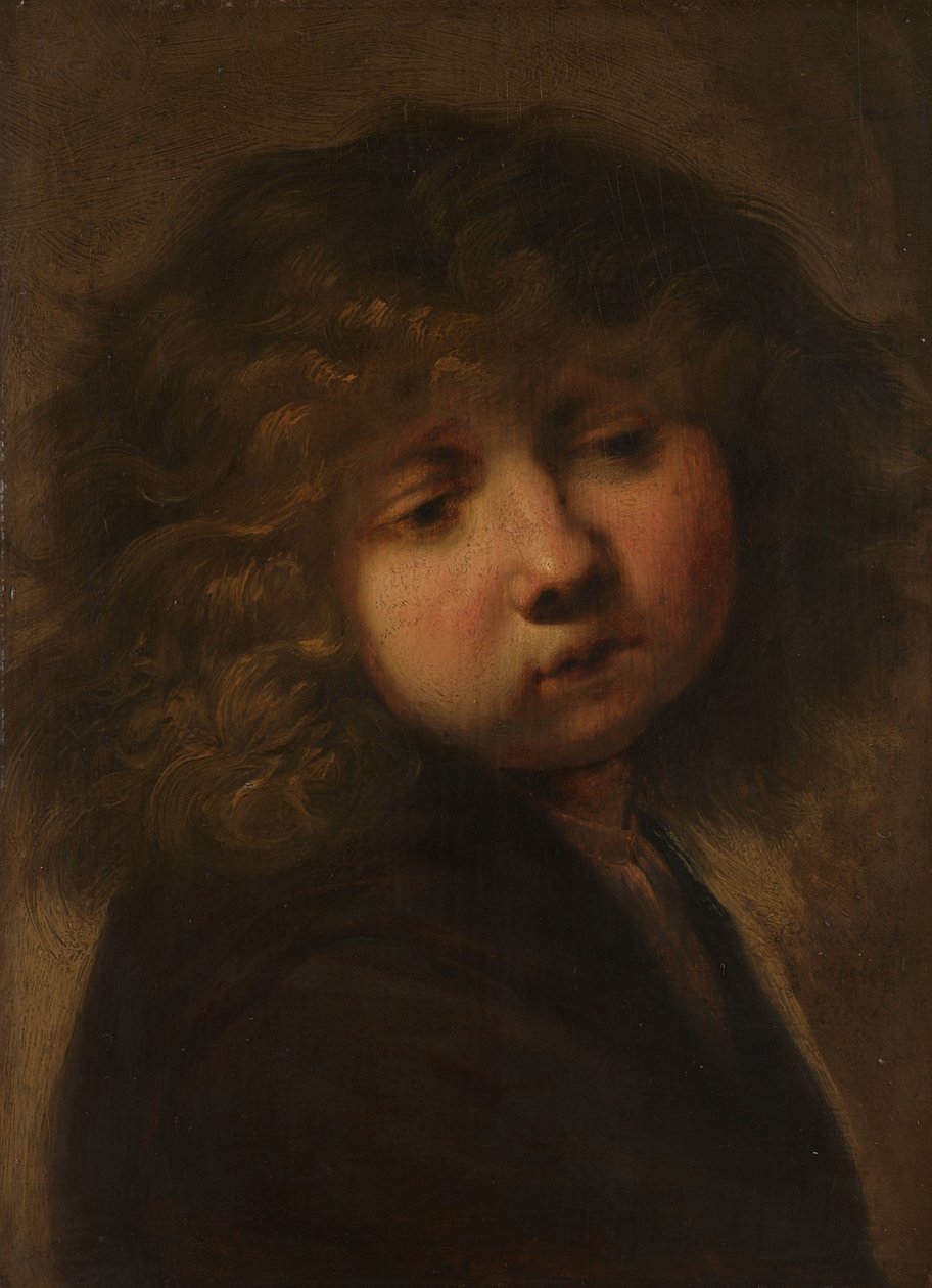 Pojan pää tekijältä Rembrandt van Rijn (circle of)