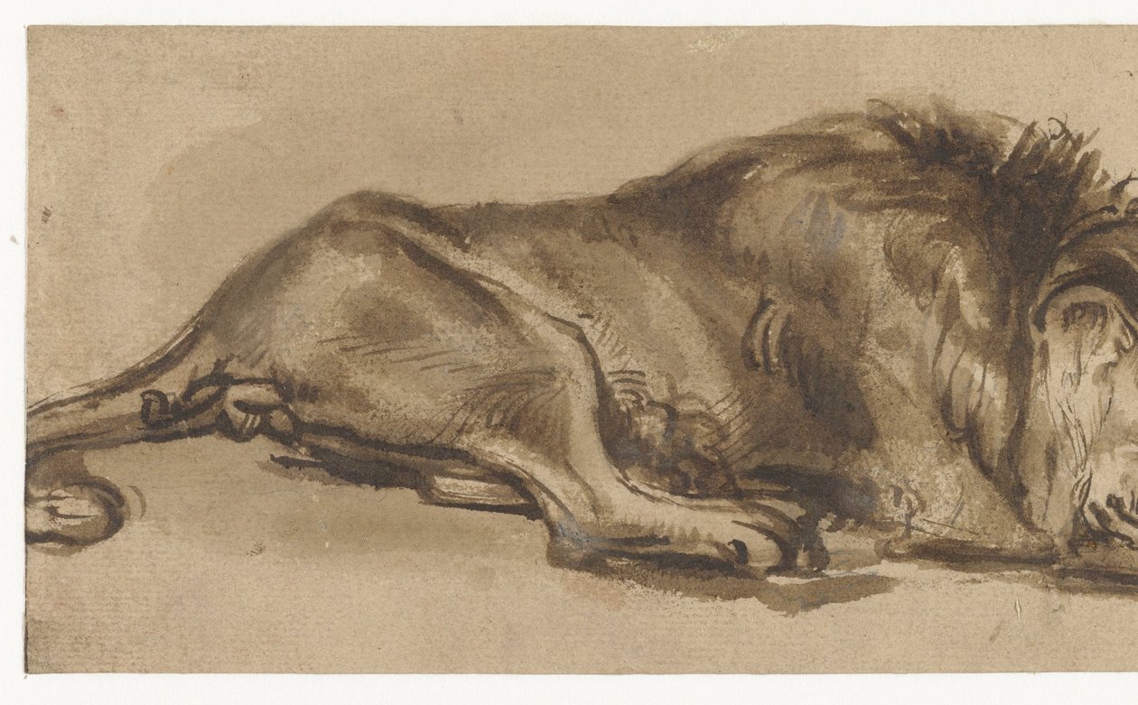 Tutkimus unessa olevasta leijonasta tekijältä Rembrandt van Rijn (copy after)
