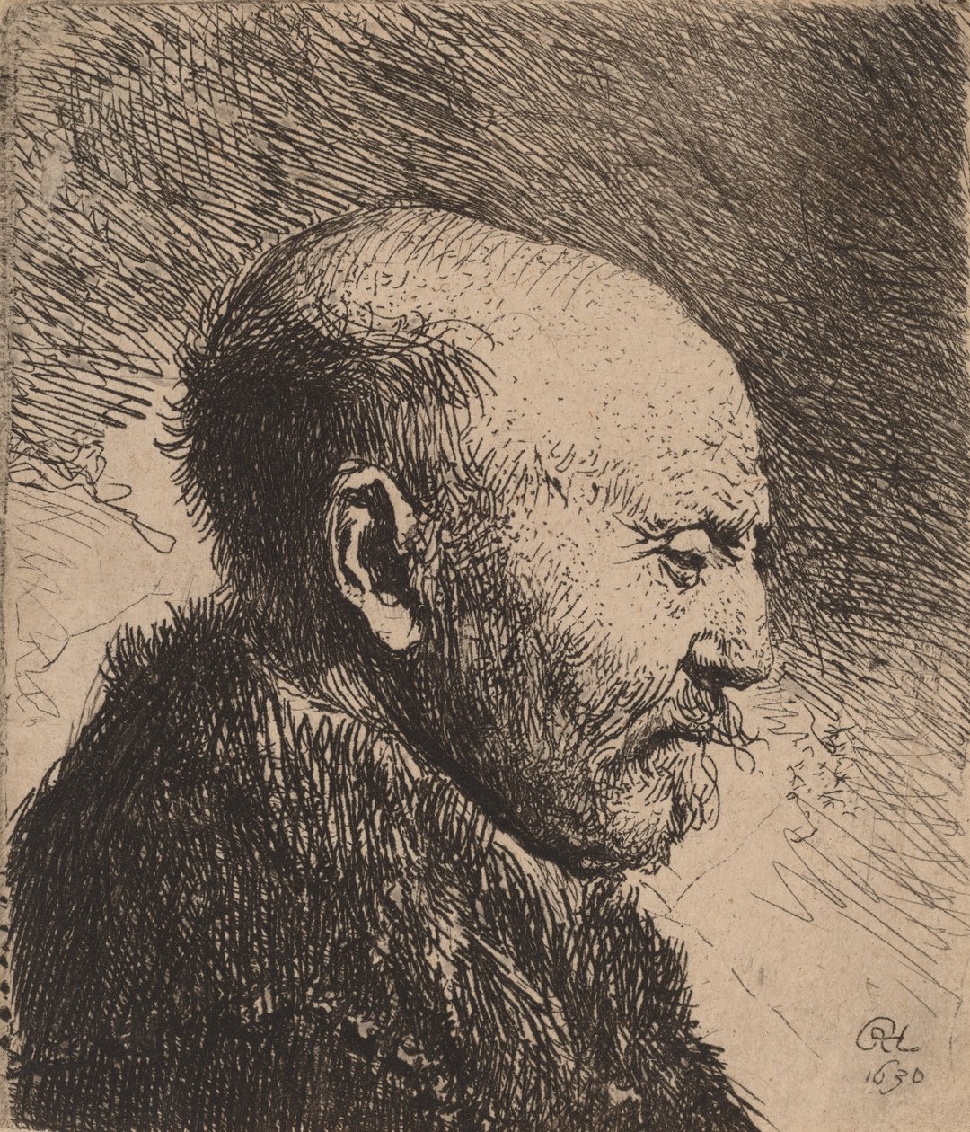 Kalju mies profiilissa Taiteilijan isä, 1630. tekijältä Rembrandt van Rijn