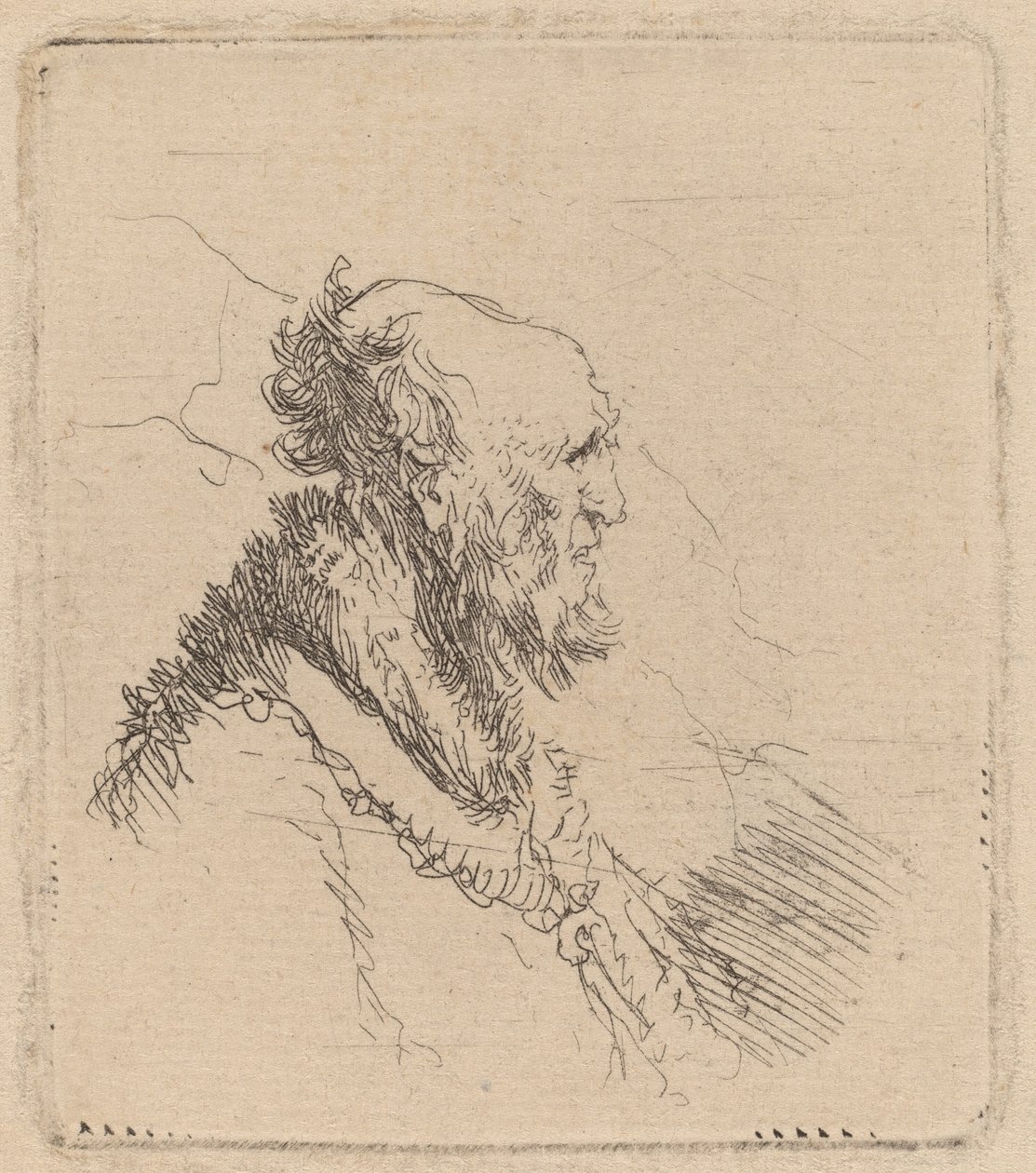 Kalju vanha mies, jolla on lyhyt parta profiilissa tekijältä Rembrandt van Rijn