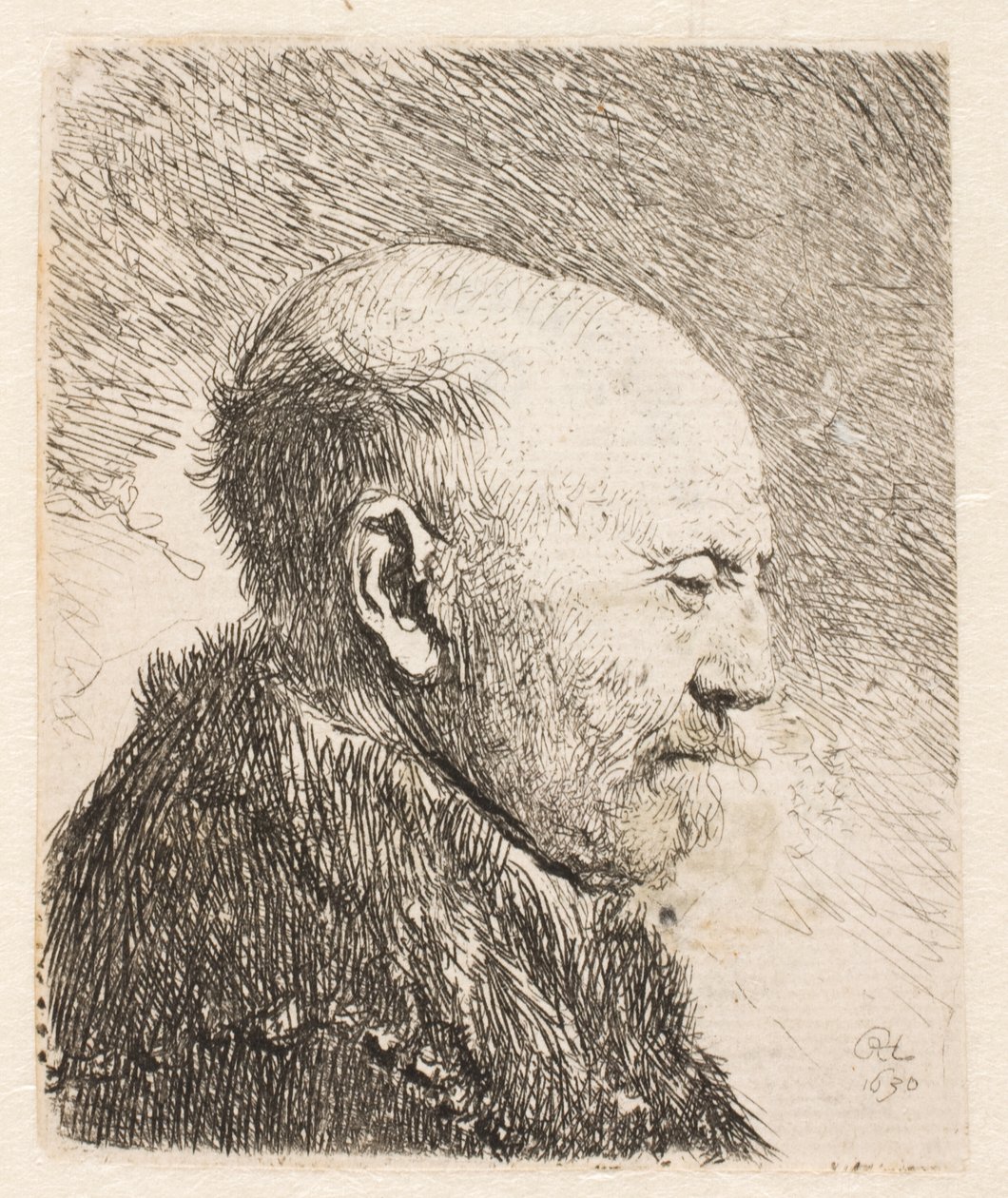 Kalju mies profiilissa (Rembrandtin isä?) tekijältä Rembrandt van Rijn