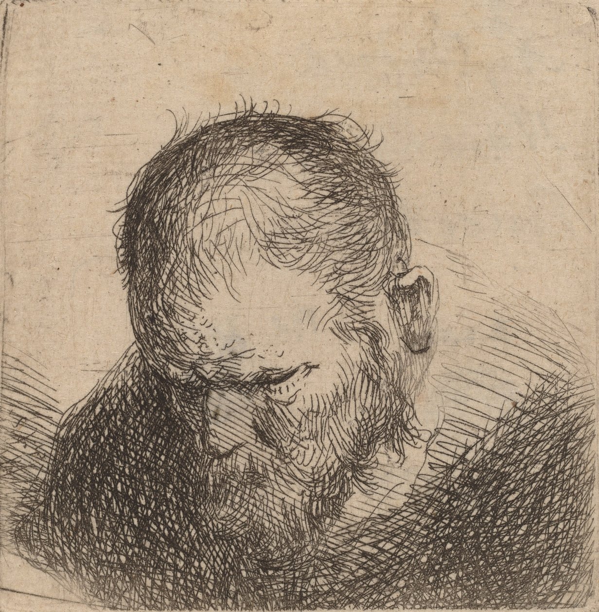 Parrakas mies katsoo alas, mahdollisesti 1631. tekijältä Rembrandt van Rijn