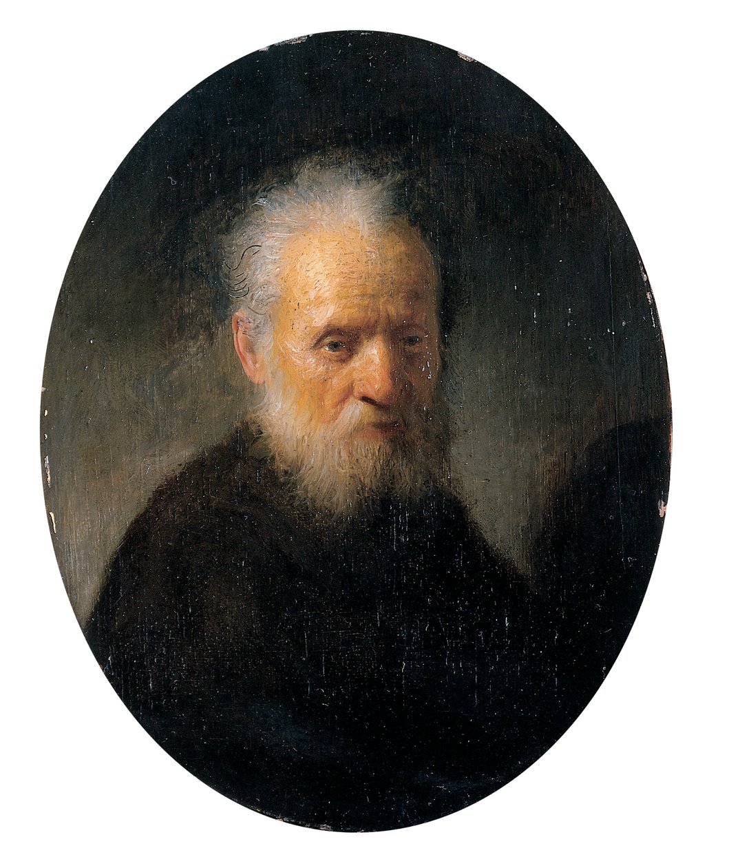 Parrakas vanha mies tekijältä Rembrandt van Rijn