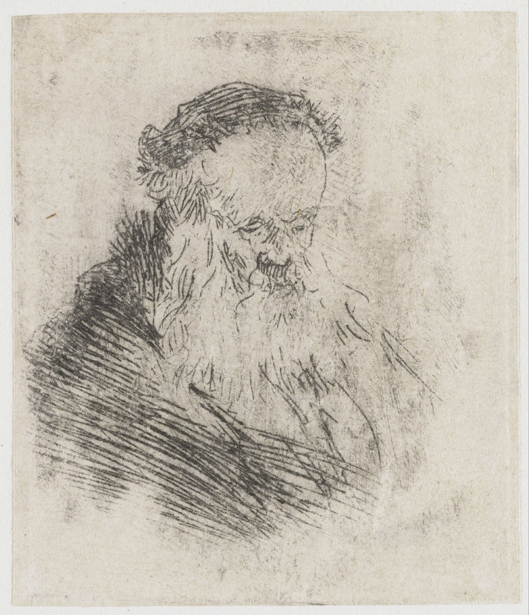 Partainen vanha mies, jolla on korkea otsa tekijältä Rembrandt van Rijn