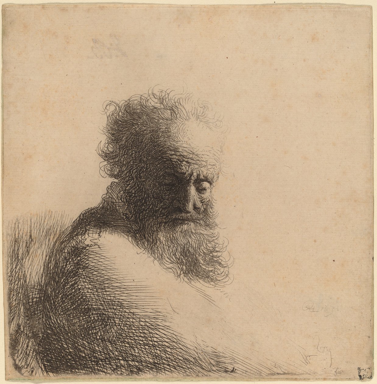 Bust d