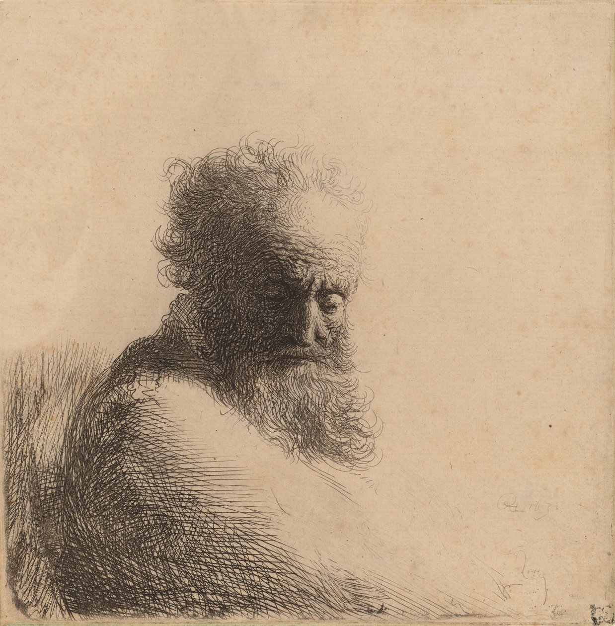 Vanhan parrakkaan miehen rintakuva, joka katsoo alas, kolme neljäsosaa oikealta, 1631. tekijältä Rembrandt van Rijn