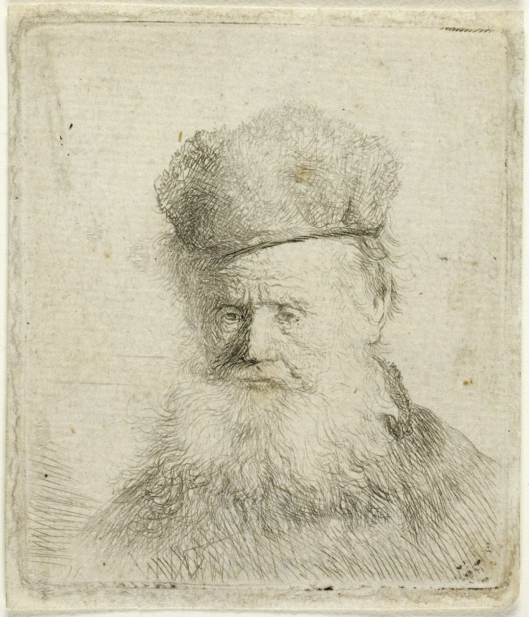 Vanhan miehen rintakuva, jolla on karvahattu ja virtaava parta, lähes koko kasvot tekijältä Rembrandt van Rijn